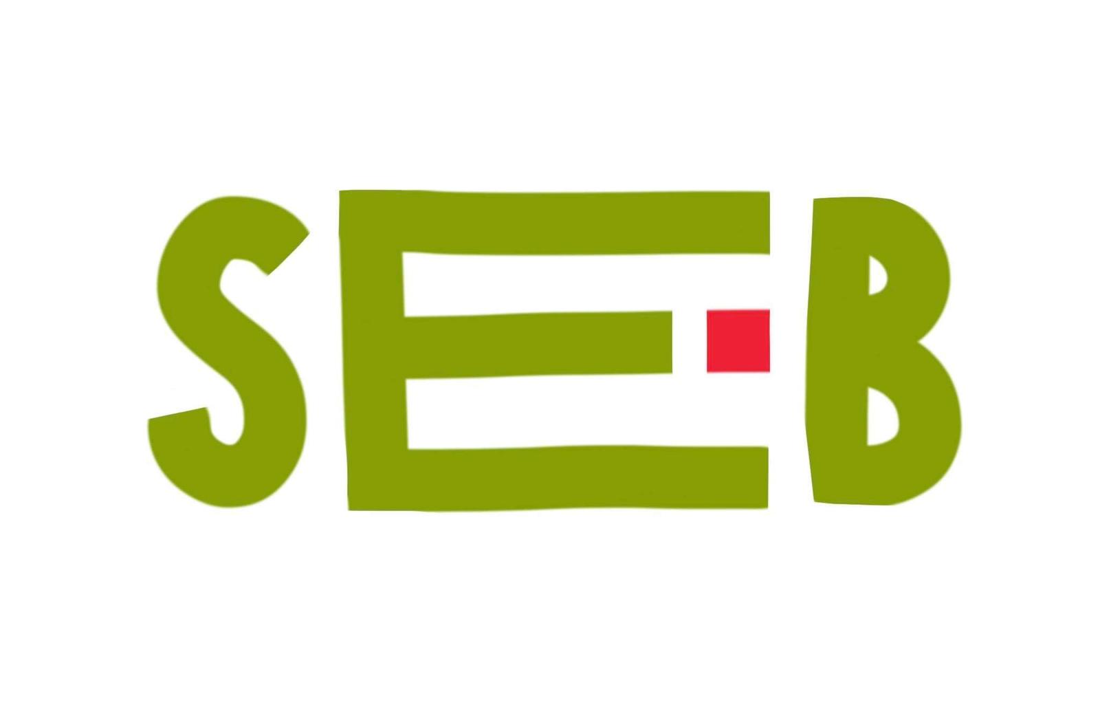 РІВЕНЬ 1. ВСТУП ДО SEB-ПІДХОДУ