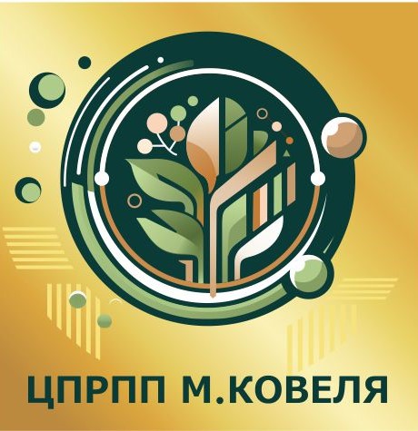 Центр професійного розвитку педагогічних працівників Ковельської міської ради Волинської області